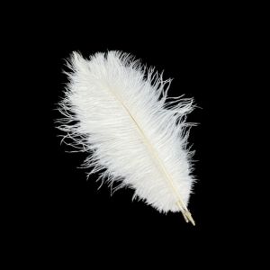 DADOMYD 10Pcs 15-20cm Ostrich Feathers Table Accessories Stage Props Ostrich Plumes Gifts Carnival Plumas Decor Feather Accessories Wedding Decoration