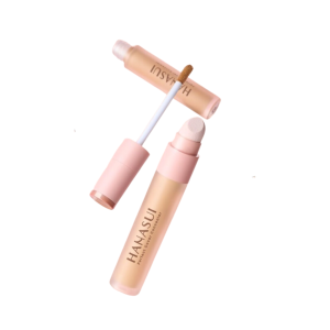 HANASUI PERFECT COVER CONCEALER