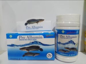 KAPSUL IKAN GABUS PRO ALBUMIN Herbal kapsul extract ikan gabus pro albumin kutuk