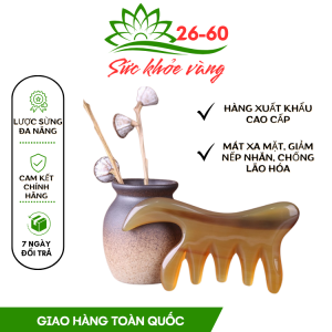 Lược Sừng 5 Răng Đa Năng Dùng Massage Đầu Ấn Huyệt - Thông Kinh Hoạt Lạc Diện Chẩn