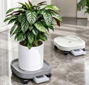 Đế Chậu Cây KIOTO Có Bánh Xe 30x30cm | Đế Kê Chậu Hoa Chịu Lực 100Kg Khóa Bánh 360° Khay Hứng Nước