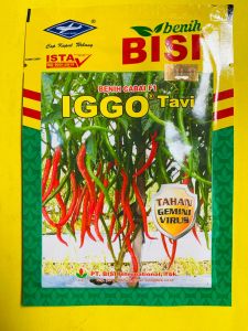 Benih Cabai Hibrida F1 IGGO tavi isi 10 gr dari CAP KAPAL TERBANG