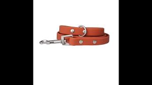 Macaron Color PVC WaterproofCollar Leash Set Soft Dirt-Resistant Dog Collar