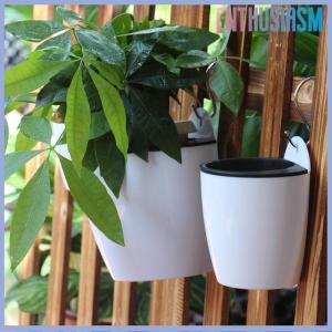 【Enthusiasm】🌟🌟【Hot Sale】🎈 กระถางดอกไม้พลาสติกแบบดูดซับน้ำอัตโนมัติติดผนังกระถางต้นไม้สีเขียวผักชีลาวของตกแต่ง