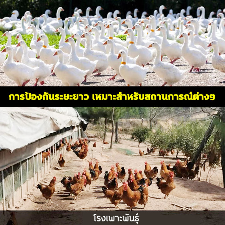 🐍ไม่มีงูเหลืออยู่ในรัศมี 100 ไมล์ 1 แพ็คมี10ผงไล่งู 1เม็ดใช้ได้1ปี แจก ...