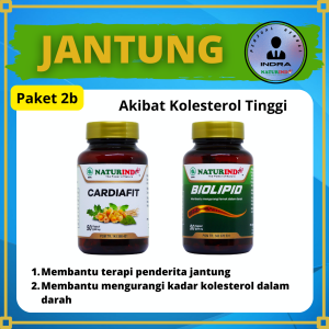 Obat Jantung Koroner Lemah Bengkak Penyumbatan Berdebar Ampuh Kapsul Herbal Cardiafit Naturindo