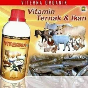 VITERNA 500CC NASA - VITAMIN TERNAK ORIGINAL NASA - vitamin hewan - SUPLEMEN PAKAN TERNAK NASA - VITAMIN TERNAK & IKAN - PENGGEMUK SAPI - KERBAU - KAMBING - BABI - DAN SEGALA MACAM VITAMIN IKAN SEPERTI UDANG - NILA DLL - GRIZELLE ZELINE