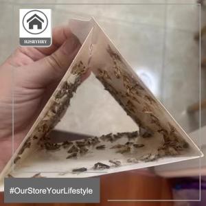 🎄【Special price】HITN กับดักผีเสื้อกลางคืนแบบมีกาวในห้องครัวและเสื้อผ้าที่บ้าน