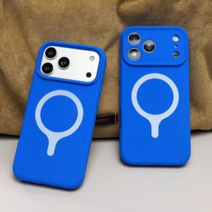 Original Liquid Silicone For Magsafe Magnetic Case For iPhone 17 16 Pro Max Camera Protection Summer Dopamine Candy Color Cover