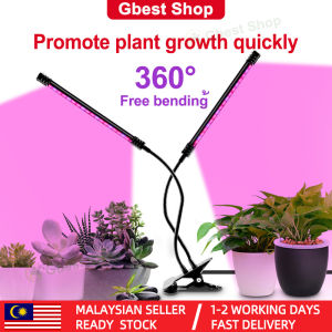 Gbest Led Grow Light Usb Dc 5V For Plants Red Blue Led Home Plant Lamps Full Spectrum Multi-Head Waterproof Blue + Red