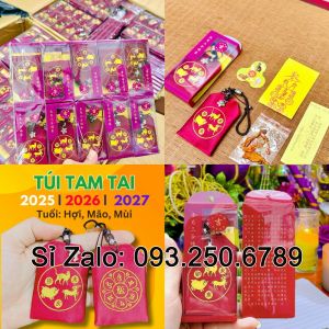 ⭐TẾT 2025⭐  [GIÁ RẺ]  Sỉ Túi Giải Thái Tuế năm 2025