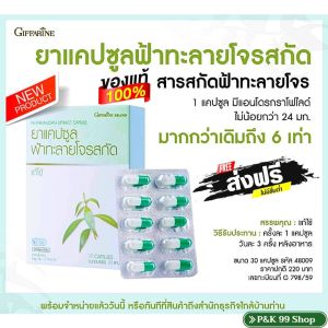 ส่งฟรี❤ฟ้าทะลายโจร ฟ้าทะลายโจรแคปซูล ฟ้าทะลายโจรแท้ ฟ้าทะลายโจรสกัด ฟ้าทะลายโจรกิฟฟารีน ฟ้าทะลายโจร 2400 mg ไข้ เจ็บคอ ต้านไวรัส-หวัด