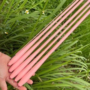 CẦN CÂU ĐÀI HOA ANH ĐÀO 4H CÂU CÁ NHỎ CÂU CẢM GIÁC NGỌN 1.2LY PHÔI CACBON NHẸ TẶNG KÈM NGỌN PHỤ