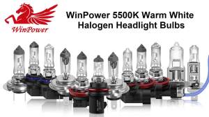 WinPower H1 Halogen Headlight Bulb Bright Warm White 55W 4300K Pack of 2
