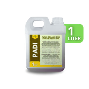 Pupuk Padi Semprot Penyubur Pupuk Padi Pelebat Buah / Obat Pelebat Padi Sawah Terbaik Penyubur ZPT