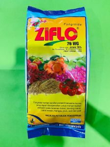 Fungisida ZIFLO 76wg pengendali empun tepung busuk daun dari BIOTIS