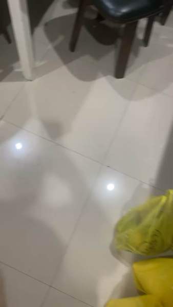 Buyer review video 2