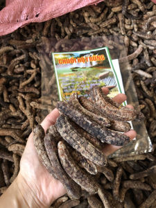 Combo 2kg chuối hột rừng Tây Nguyên sấy khô chuối chín cây lột vỏ sấy khô cho người đau lưng nhức mỏi sỏi thận tăng sinh lý