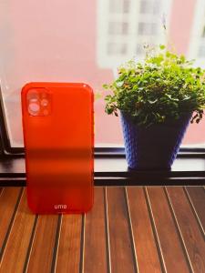 Case Apple Iphone 11 Softcase Ume Matte Rainbow