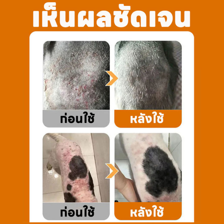 🐾🐱หยุดคันใน 1 นาที • ผิวสุขภาพดีด้วยธรรมชาติ 100%🐕🐾KiMi&BS สเปรย์ดูแล ...