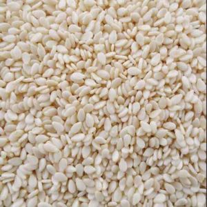 Mè Trắng Vừng Trắng hạt đẹp giá sỉ 1Kg
