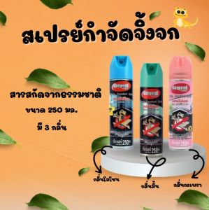 สเปรย์ไล่จิ้งจก ตุ๊กแก และสัตว์ลิ้นสองแฉก ไล่จิ้งจก ไล่ตุ๊กแก กำจัดจิ้งจก 250มล.