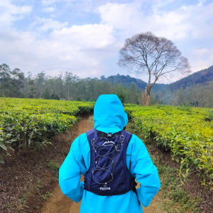 HYDROPACK SYSTEM MONTAGNA FLYING tas gunung serbaguna tas tektok bisa muat untuk kapasitas besar