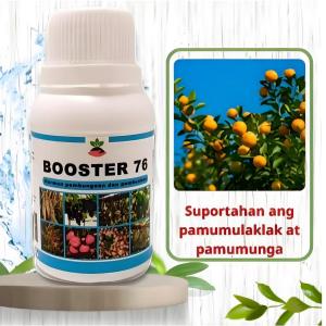 BOOSTER 76 STIMULATE FRUIT 150ml Organic Flowering & Fruiting Enhancer for Plants(Liquid Fertilizer).. ++