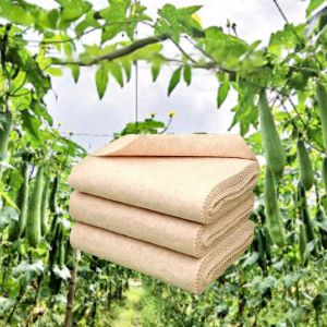Set 10 Khăn Lau Xơ Mướp Đa Năng Siêu Thấm Hút Khăn Lau Bếp Tách Mỡ Làm Sạch Bếp Bàn ĂnMọi Bề Mặt-HAUSE