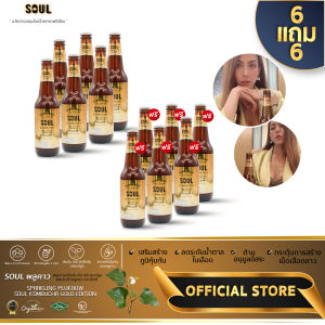 SOUL Kombucha Sparking Plukaow - โซลคอมบูชาผสมเบต้ากลูแคน เครื่องดื่ม Probiotics กลิ่นผลไม้ สมุนไพรพลูคาวผสมคอมบูชา ลดบวม ล้างโซเดียม
