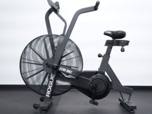 Rogue Echo Assault Exercise Bike