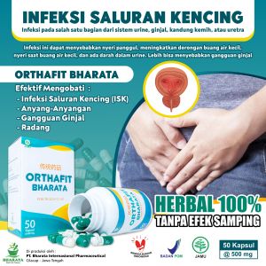 Obat Herbal ISK Gagal Ginjal Infeksi Ginjal Uremia Asidosis Orthafit Bharata 100% Original