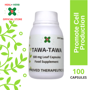 Pure Tawa Tawa Herbal Capsules 50 & 100 Capsules For Dengue Improve Platelet Count Organic and Natural