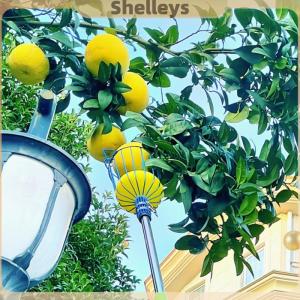 [Shelleys] Sâu Giỏ Trái Cây Picker Đầu Thuận Tiện Trái Cây Picker Catcher Táo Đào Chọn Trang Trại Vườn Chọn Thiết Bị Công Cụ Vườn