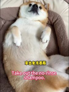 Pet Shampoo Foam 400ml No-Rinse Pet Cleansing Foam Waterless Dog Cat Dry Shampoo Deodorizing