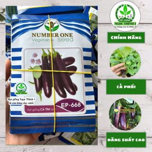 Hạt Giống Cà Tím Lai F1 EP-668 NUMBER ONE (Gói 5gr) - Khoảng 800-900 hạt