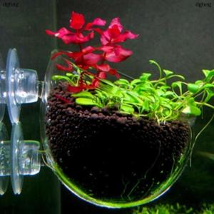 [COD] dgheg Rilakku Fish Tank Mini Pot Water Potted Aquatic Planting Cylinder Cup