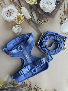 [SET BUNDLE DEAL] SoftFit No-Pull Dog Harness + Leash