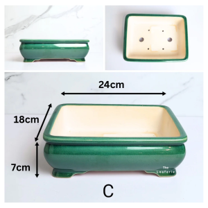 The Leaferie Bonsai Tally  (Series 4) rectangular Pot rectangle Plant pot . Ceramic . big Flowerpot . Planter. Flower pots