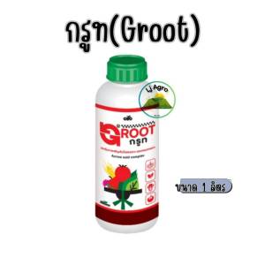 กรูท Groot ขนาด 1 ลิตร เร่งการแตกยอด แตกใบ เร่งใบอ่อนให้แก่เร็ว ใบหนา เขียวเข้ม #แอลเจอะโกร