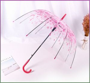 เสื้อกันฝน การป้องกันแสงแดดและฝน โปร่งใส ร่มใส อารมณ์ที่เป็นธรรมชาติและสง่างาม นักเรียน พื้นหลังสีฟ้า