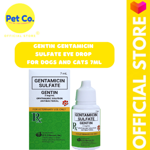 Gentin eye hotsell drops for dogs