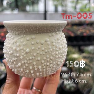 กระถางปลูกต้นไม้ กระถางเซรามิคแฮนเมค/ Ceramic Handmade / กระถางแคคตัส /กระถางต้นไม้/ กะถางงานจริงน่ารักมากค่ะ