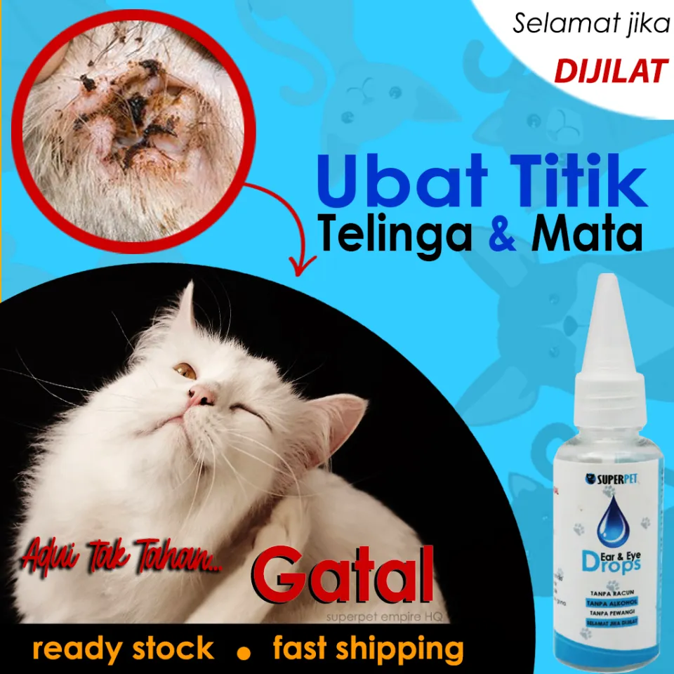 Fucithalmic eye clearance drops for cats