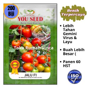 Benih Bibit Tomat Tahan Virus JALU F1 Cap You Seed Tahan Layu Genjah