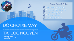 NẮP CHỤP CARTE INOX SALAYA CHO WAVE DREAM FUTURE FUNEO