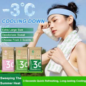 Outdoor Hiking Wipes Ice Sports Refreshing Ice Wipes Mint Cooling Antiperspirant Wipes