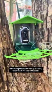 PETCARESMY Professional Smart AI Bird Feeder with 1080P High-Resolution Camera and Dual Solar-Powered Energy System