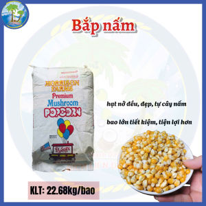 [Bao 22.68kg] Bắp nấm_Bắp Mỹ loại ngon dùng làm bắp rang..
