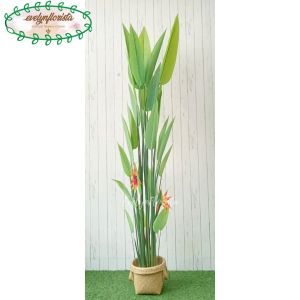 Pohon Hias Daun Pisangan Heliconia Bunga Paradise T210 Latex Pot Dasar Hitam Cover Purun Handle Hiasan Rumah
